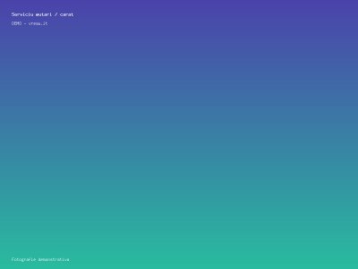 Serviciu mutari / carat