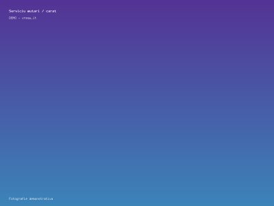 Serviciu mutari / carat