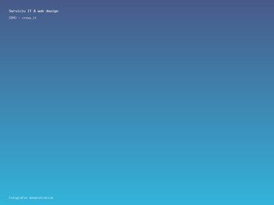 Serviciu IT & web design